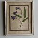 Set of 6 botanical plates
