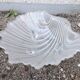 Shell-shaped catchall