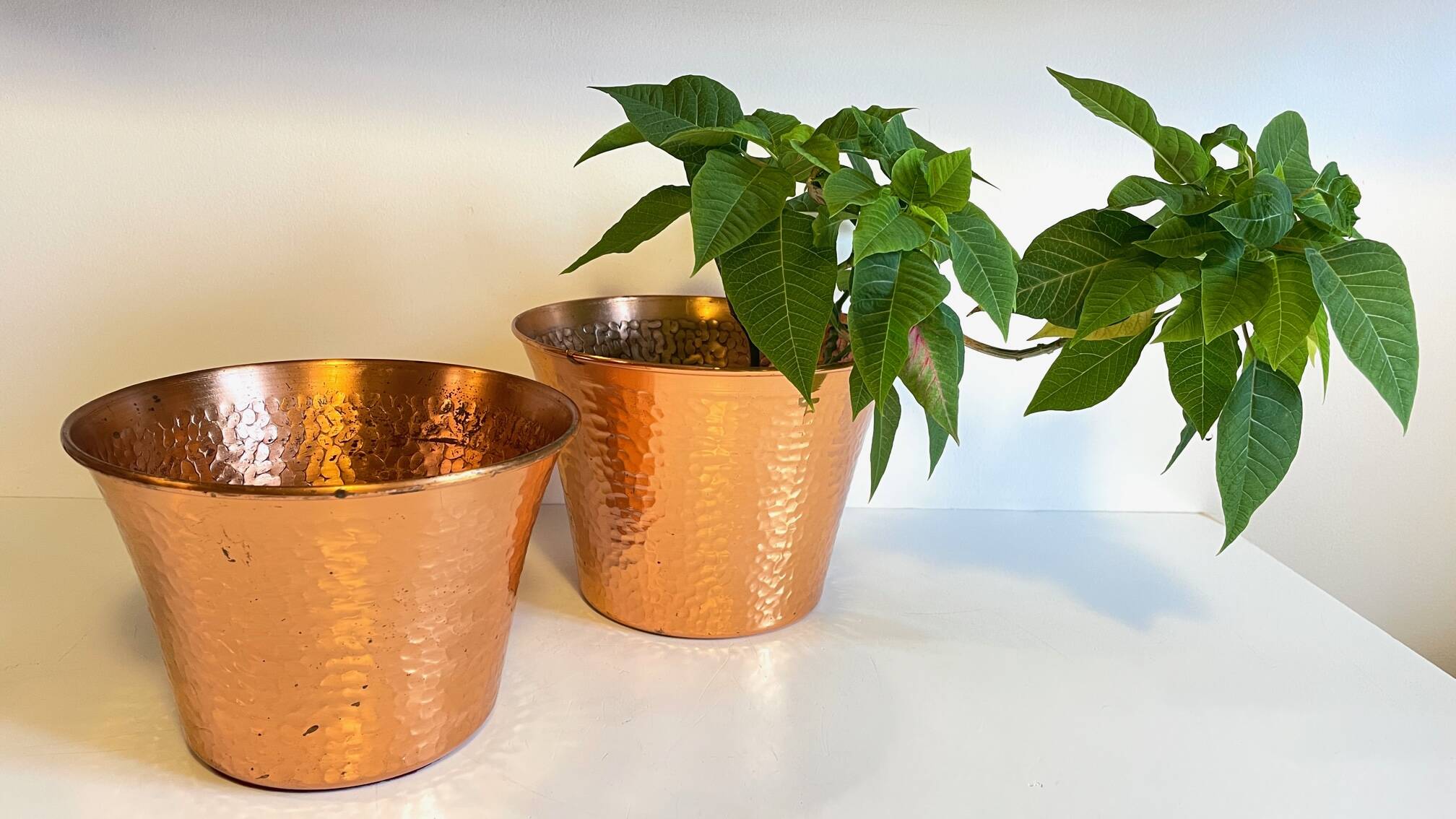 Pair of copper plants 1960s