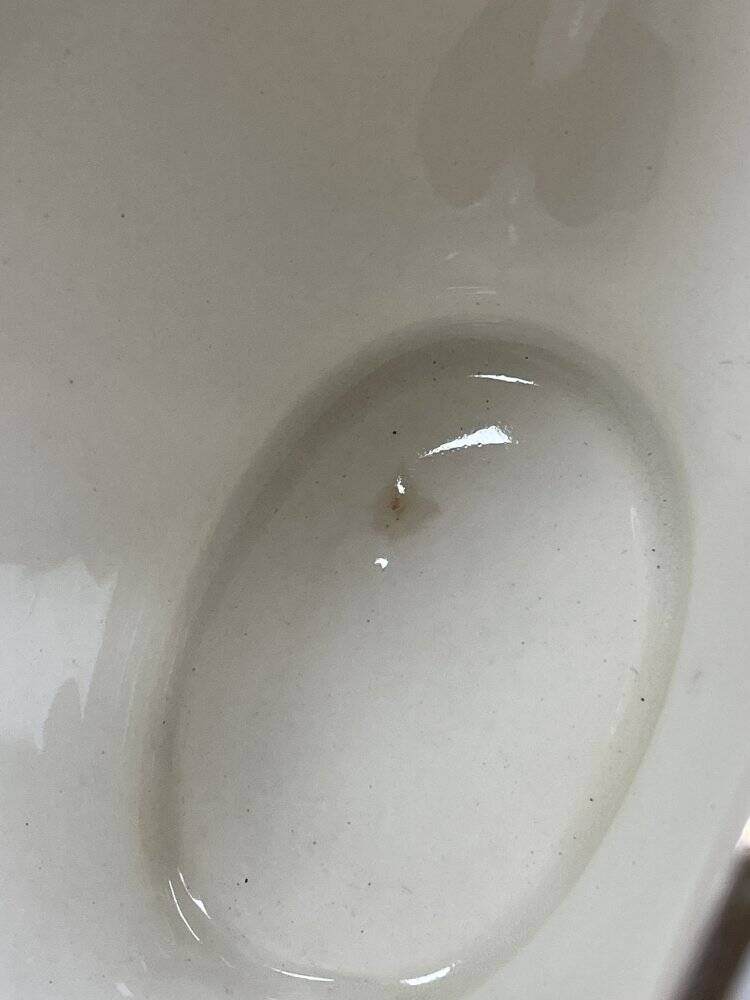 Saucière Gien modèle Tokio