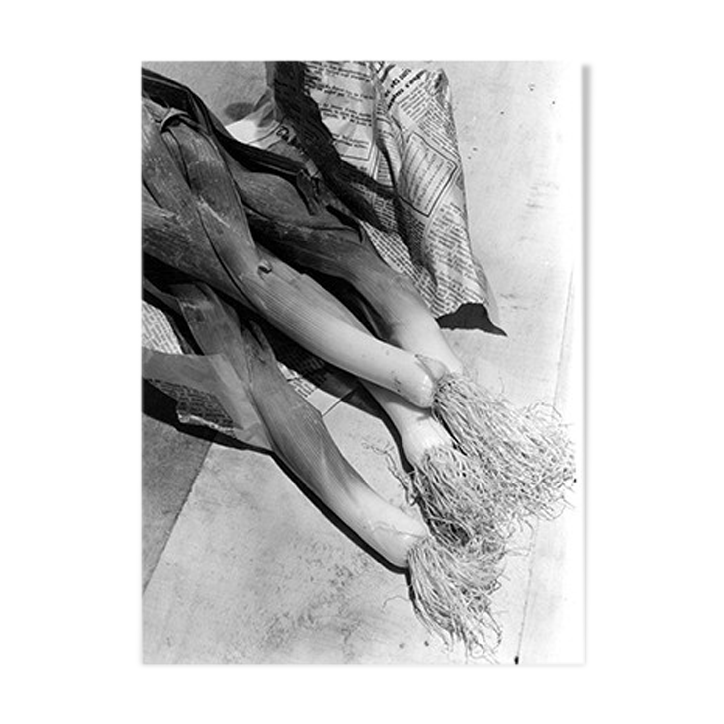 Leek still life and newspaper