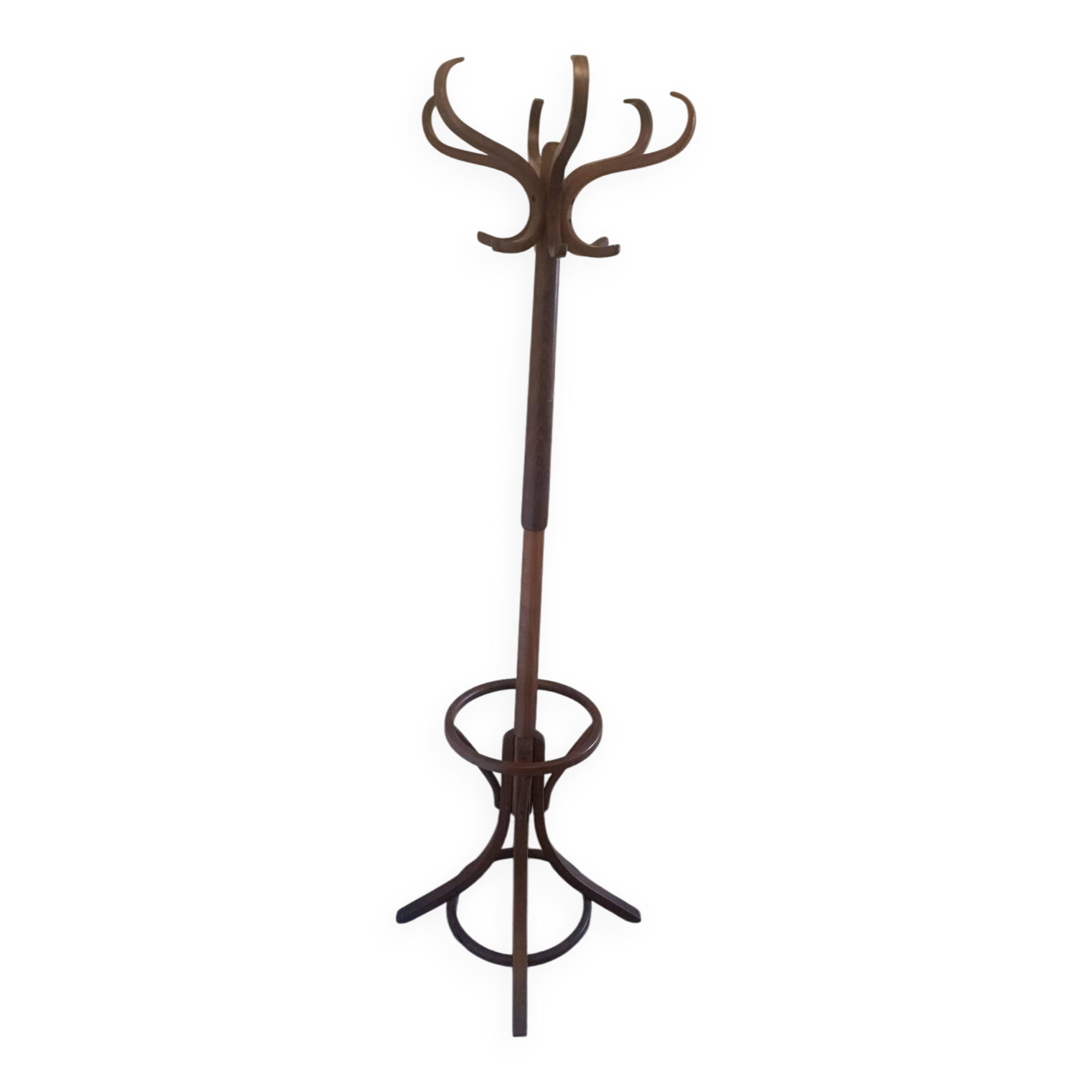 Portemanteau perroquet