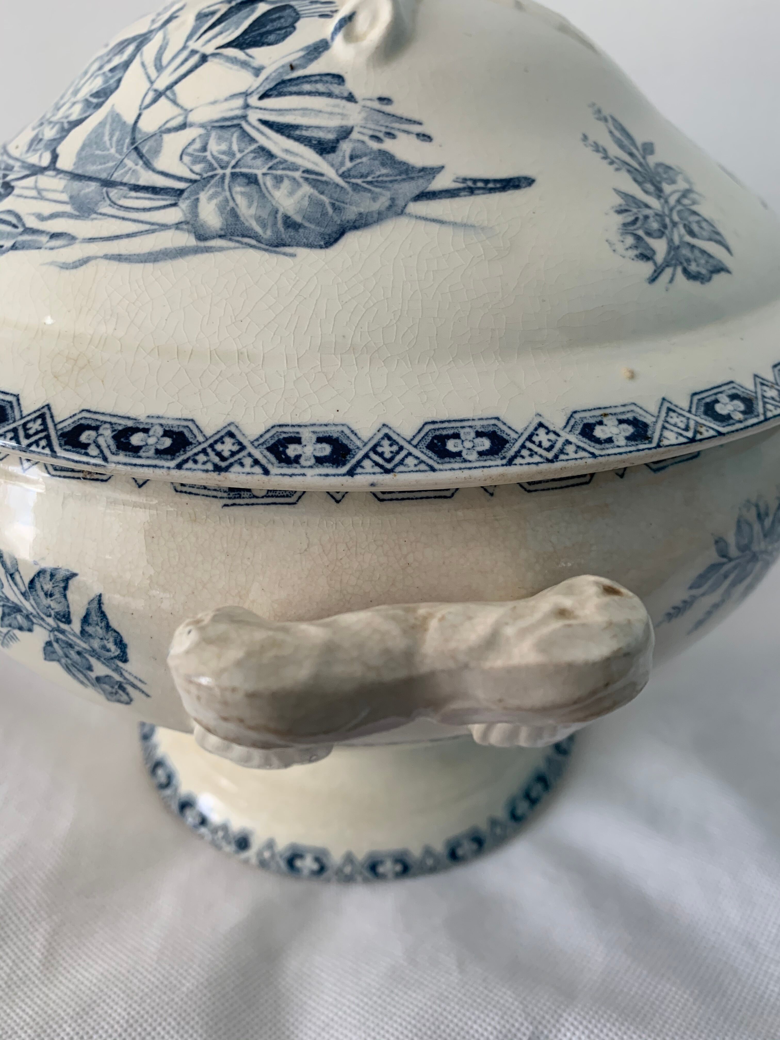 Old blue soup, Terre de Fer, martha model