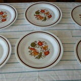 Flat vegetable plates arcopal france l2