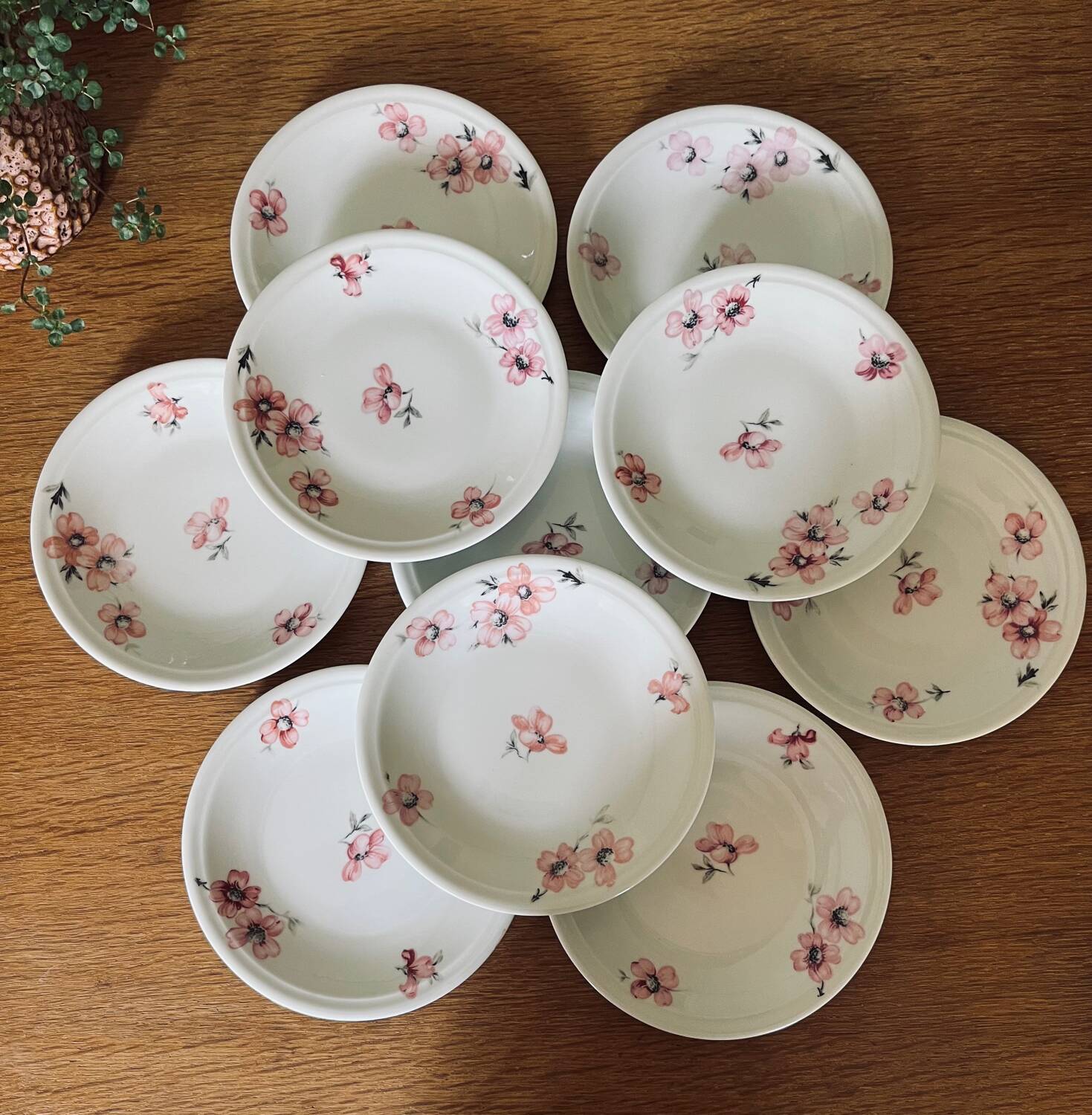 10 porcelain dessert plates with floral pattern