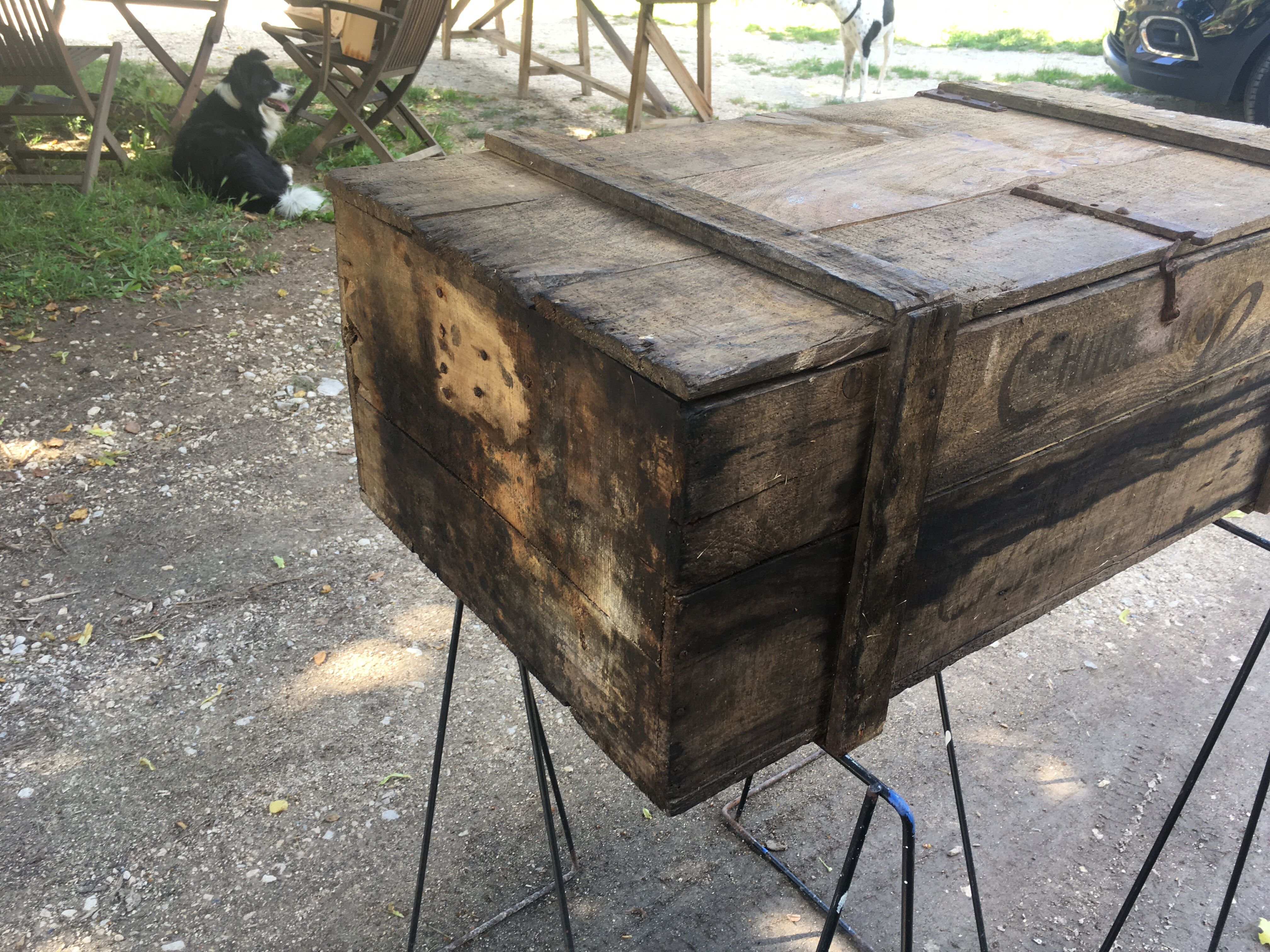 Wooden box Chocolate Foal