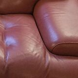 Roche Bobois leather sofa Blogger model