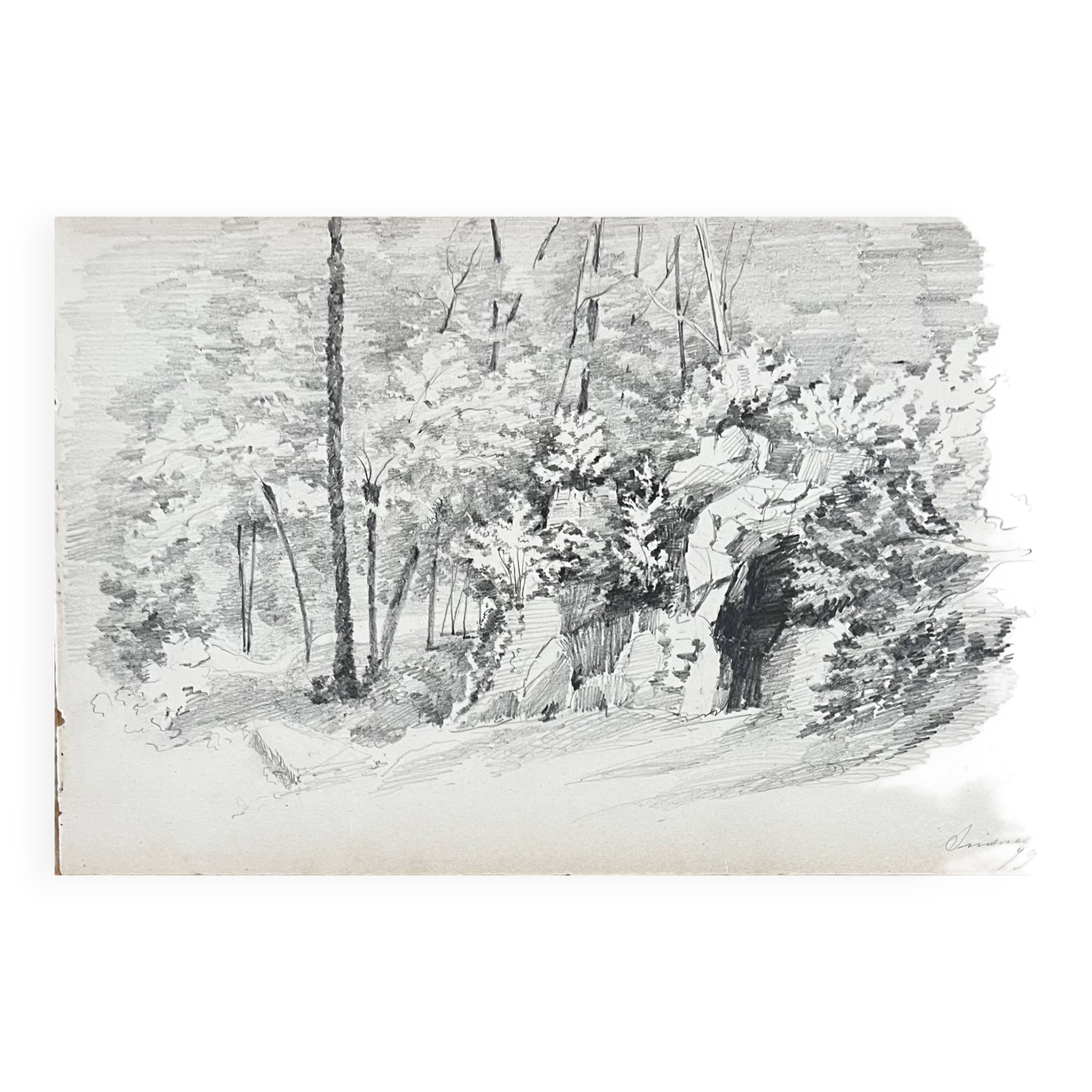 Landscape drawing: in the Forest of Asnières - 49