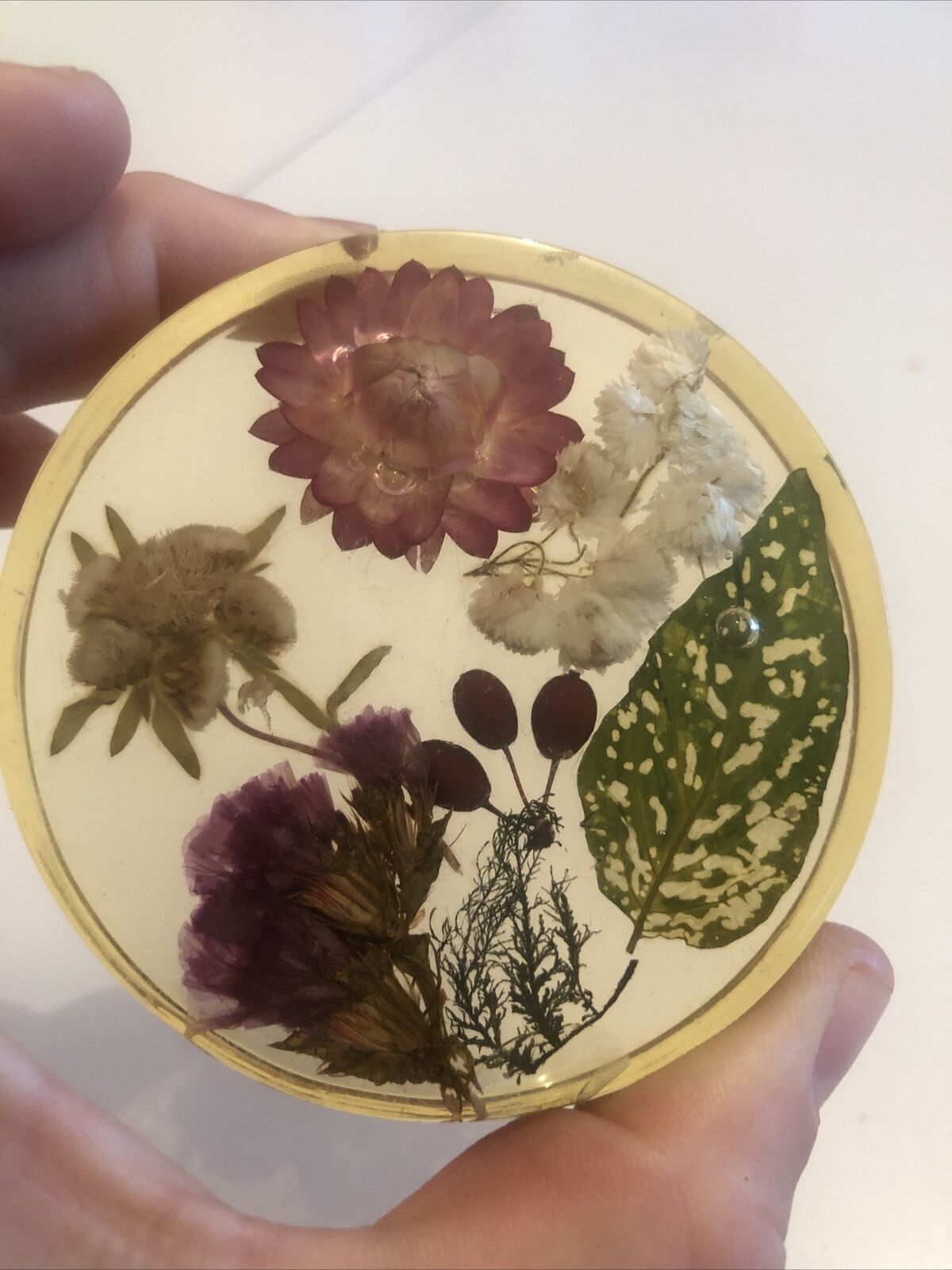 Lot 6 under glass botanical inclusion in resin genuine vintage flowers