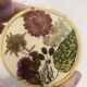 Lot 6 under glass botanical inclusion in resin genuine vintage flowers