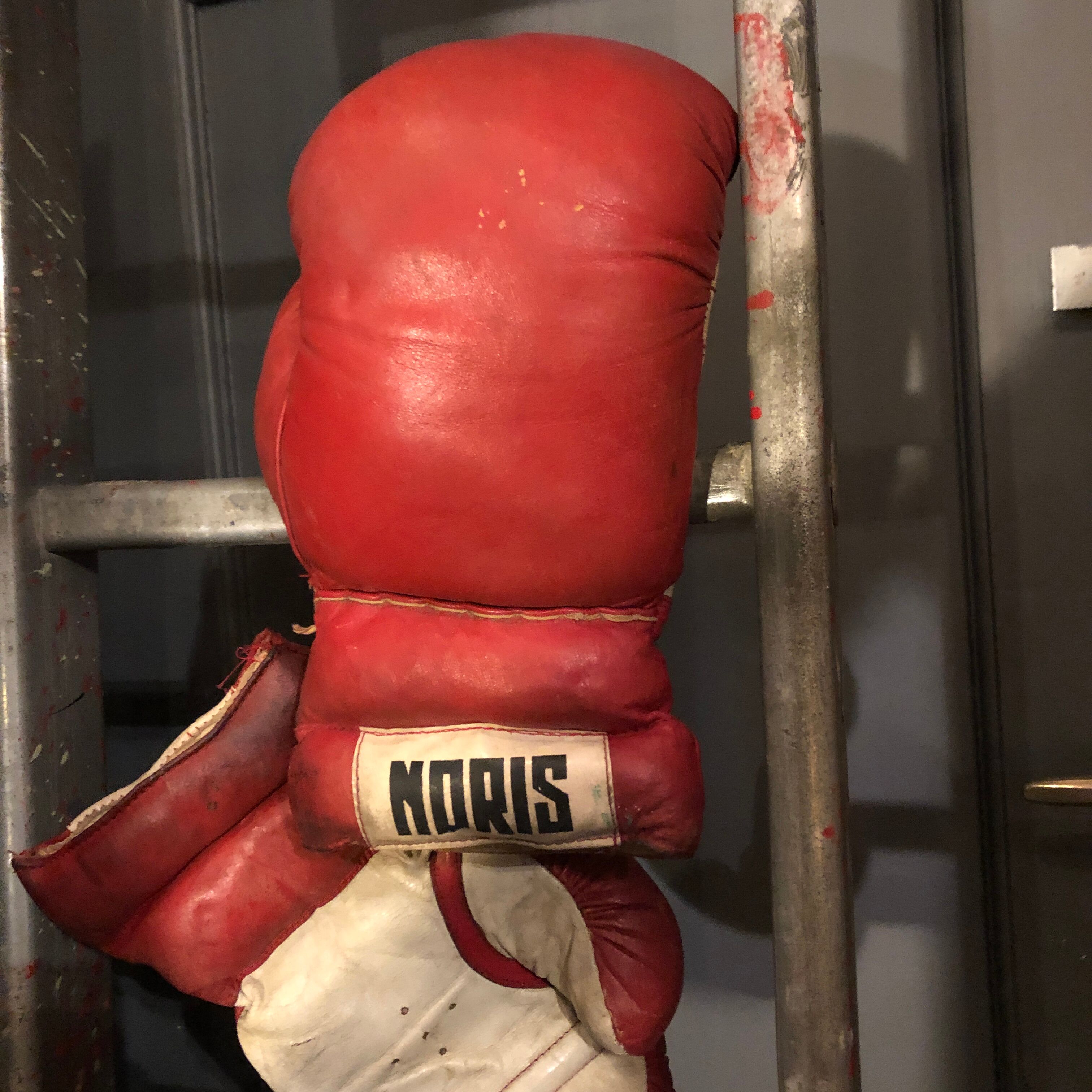 Boxing gloves
