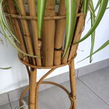 Rattan and bamboo gardener