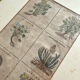 Lithograph botanical plate enhanced with watercolour.