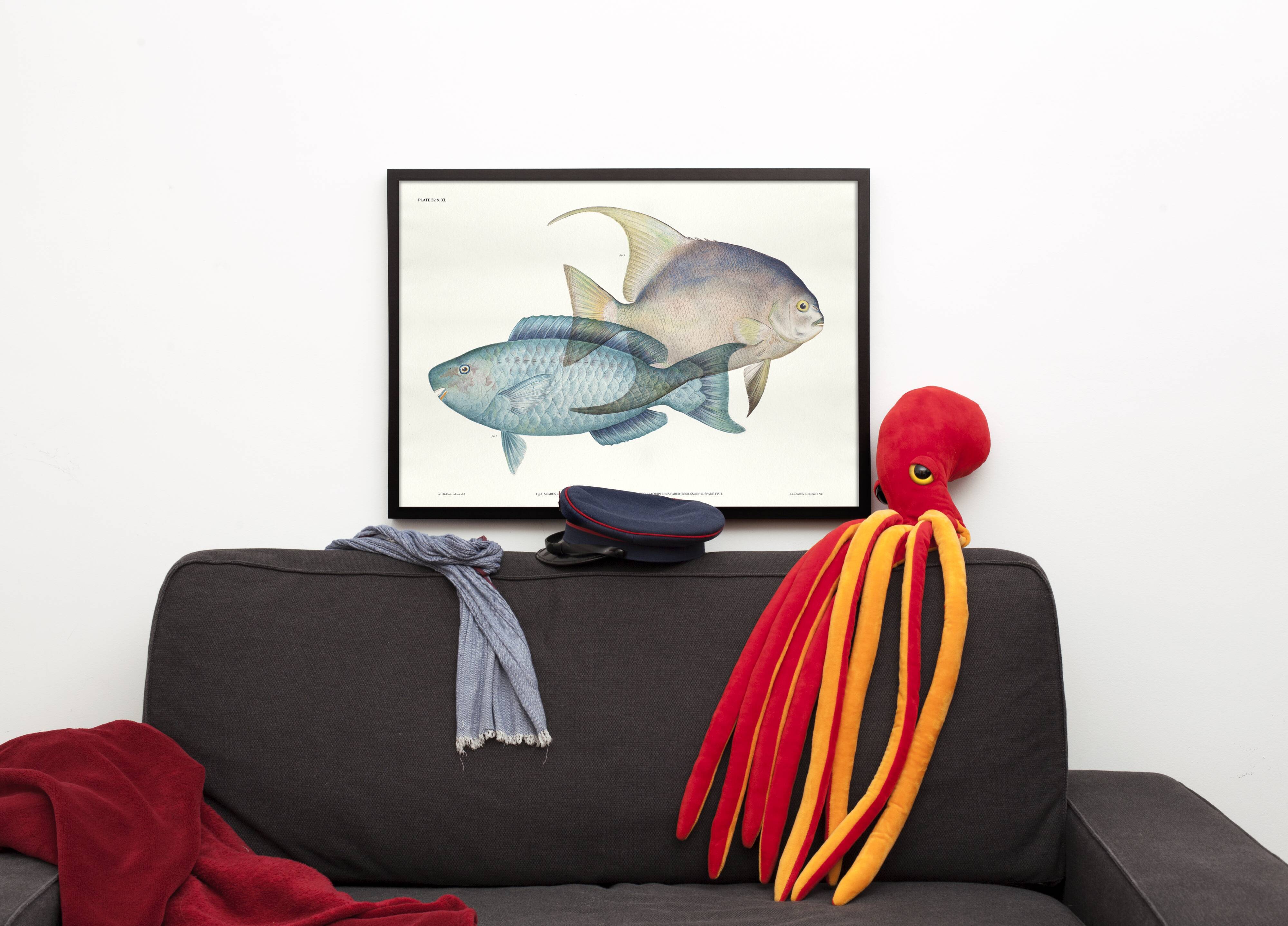 Lithography illustration animal fish