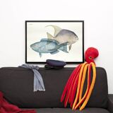 Lithographie illustration poisson animal