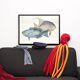 Lithography illustration animal fish
