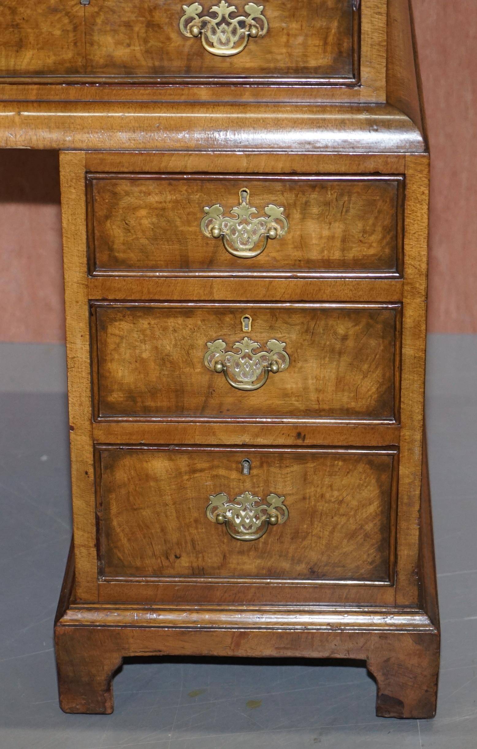 Curved pedestal desk in veined walnut, leather surface, late Victorian period.