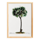 Botanical poster of the Date Palm, after an old engraving