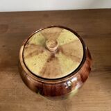 Glazed terracotta covered pot