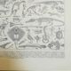 Lithographie sur les squelettes de 1928
