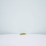 Vintage gold bronze salamander