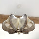 1960s Scandinavian suspension