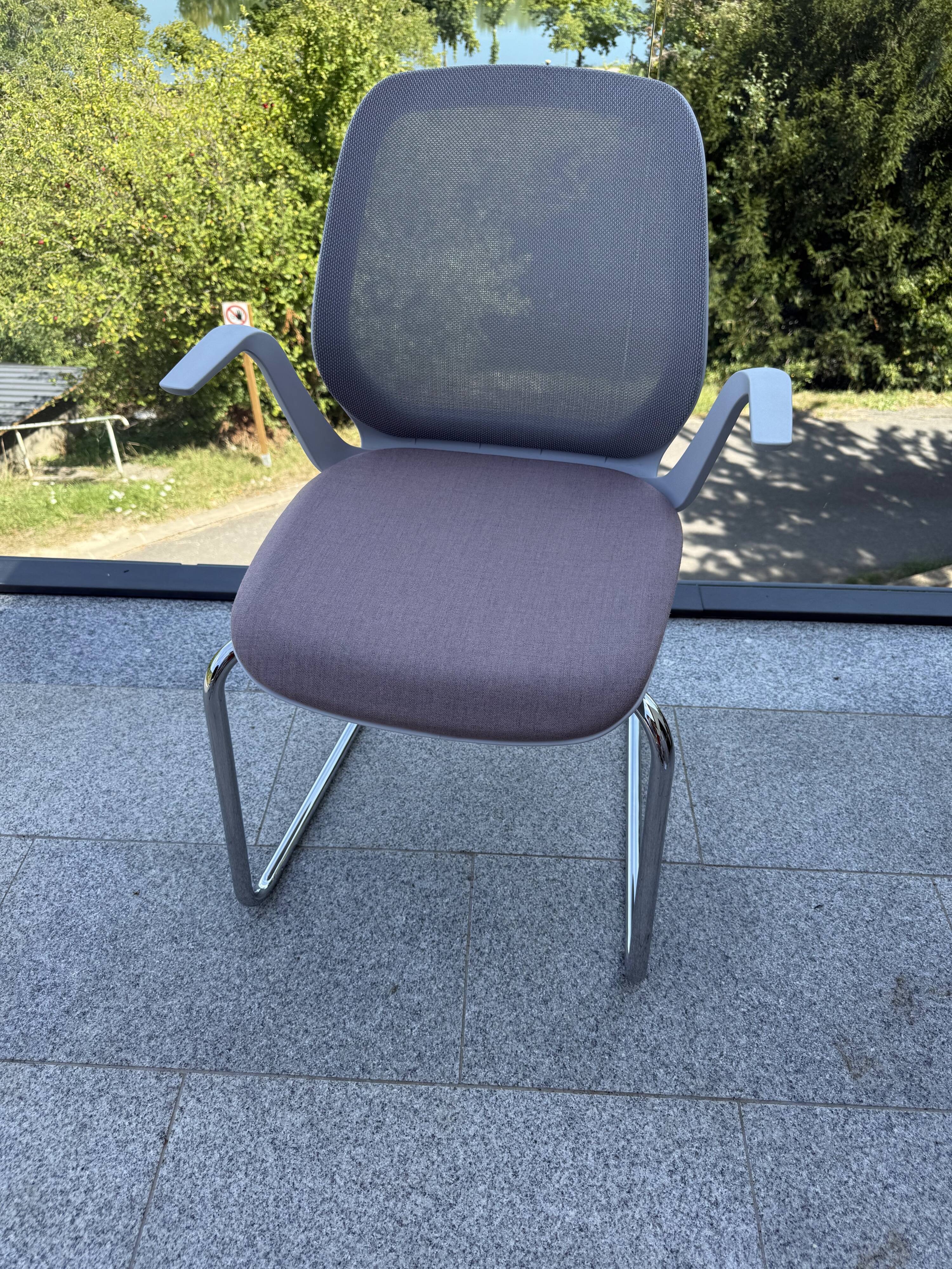 Sedus chair – SE:FLEX Freischwinger