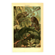 Old engraving from 1904 - Chameleons - chromolithograph zoology plate