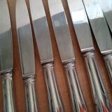 12 dixi knives in silver metal, filet model