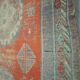 Antique Khotan rug Uyghur East Turkestan 1910