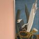 Original Swedish Oil on Canvas – "Aqave" by Marit Wahlström Schönbäck – Signed – Dated 1969 – Framed – 37 × 64 cm