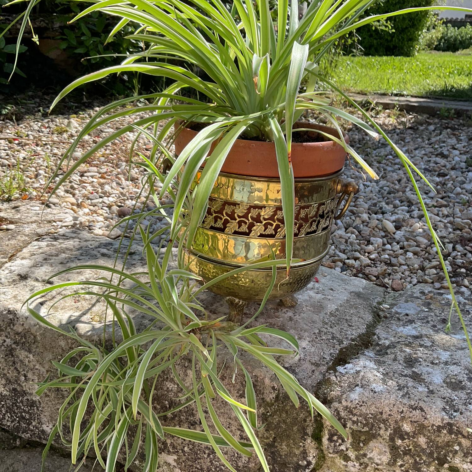 Round copper planter