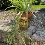 Round copper planter