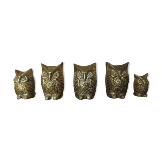 Family of 5 owls in brass 70