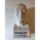 Cracked earthenware phrenology bust by Fowler