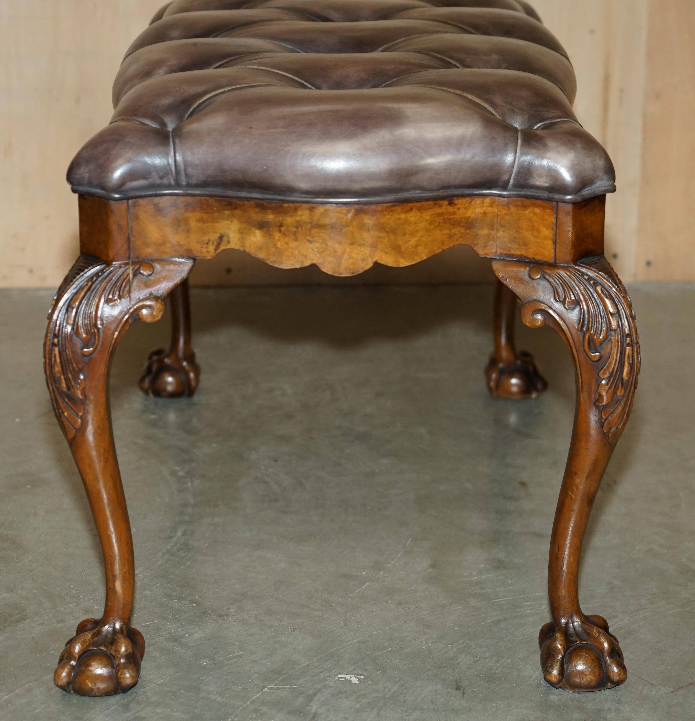 Banc ancien en cuir et noyer burr, style victorien