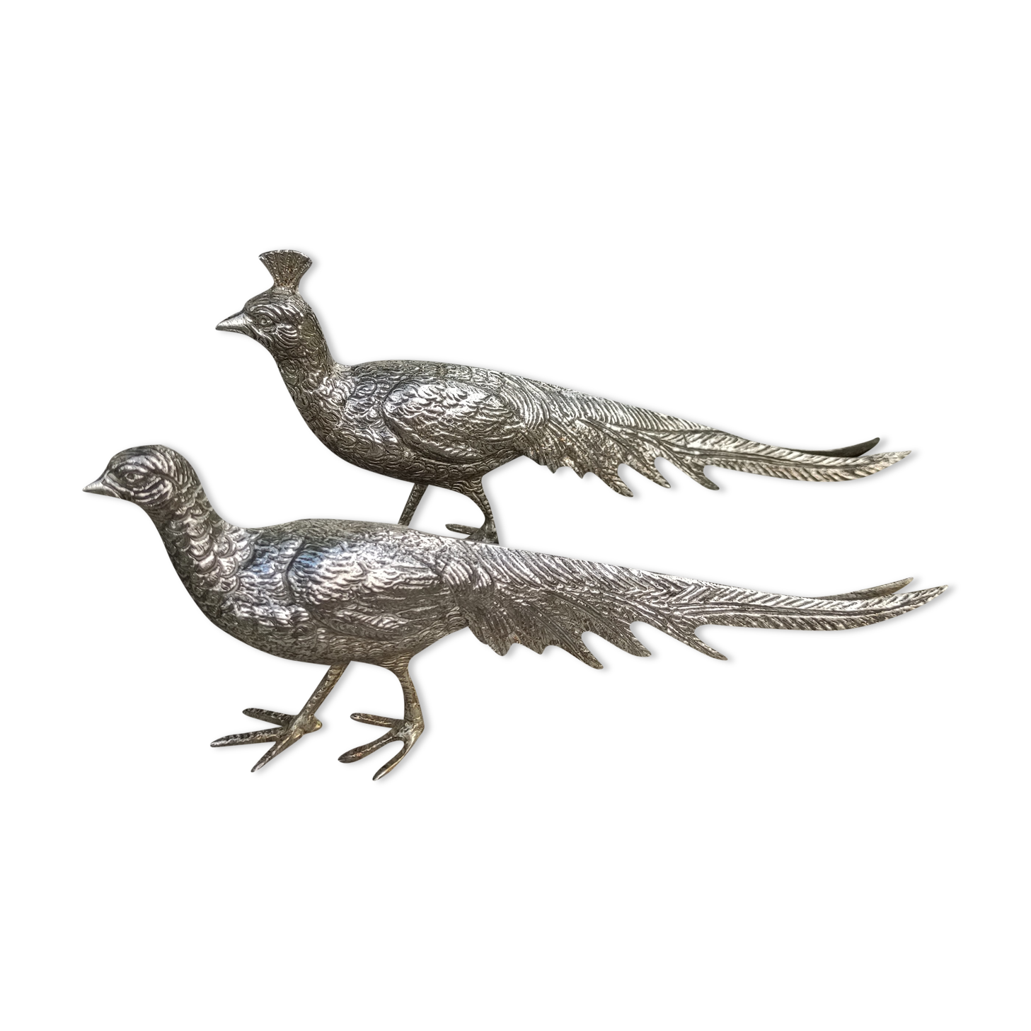 Pheasant couple