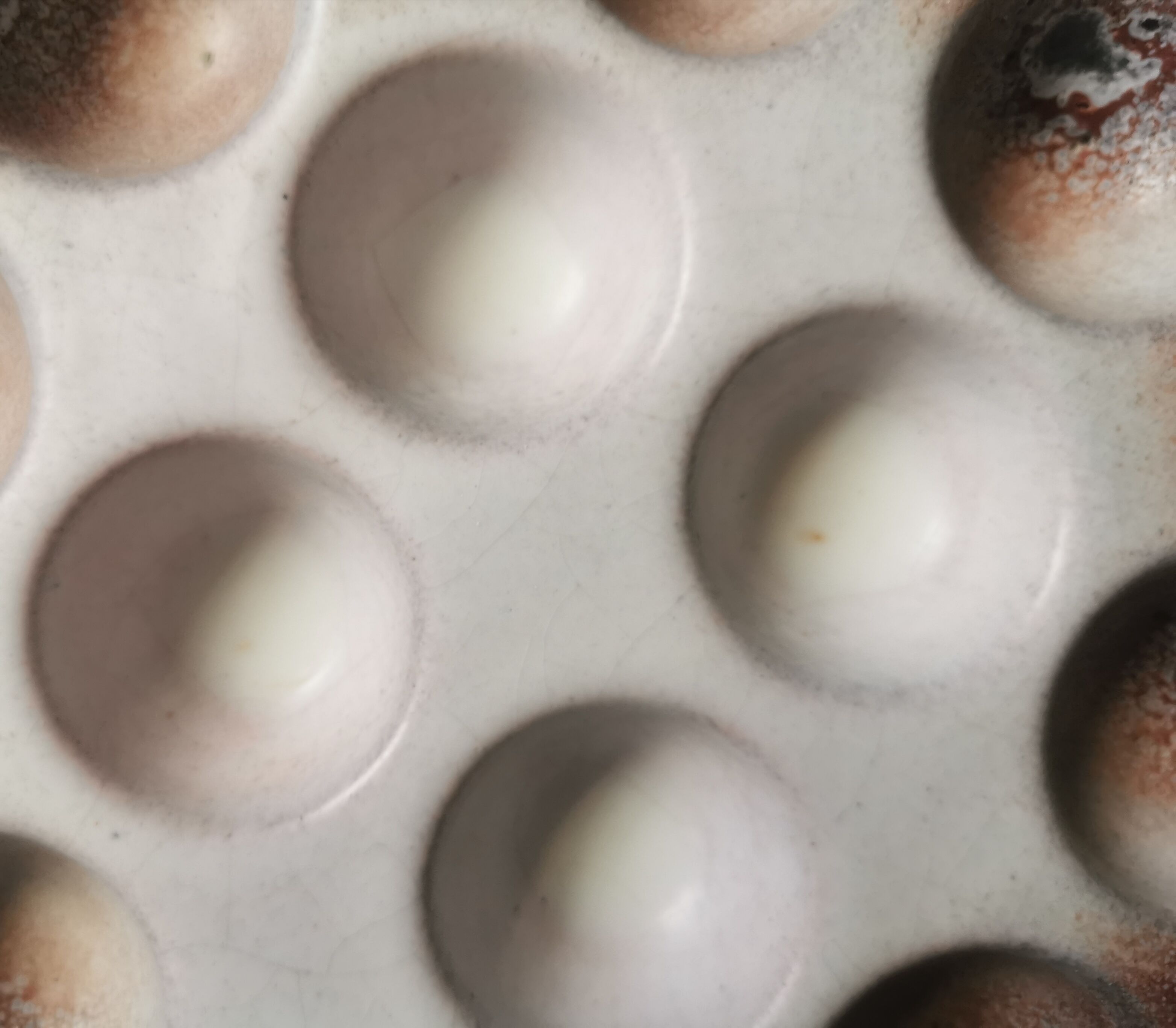 6 glazed ceramic snail plates