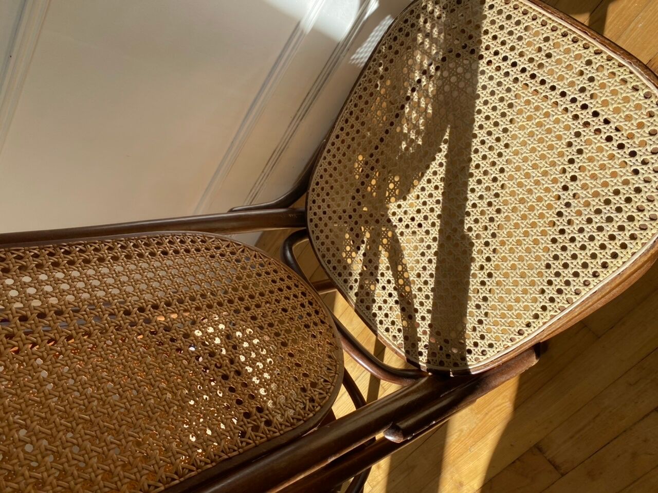 Pair of chairs Thonet 17 reissue FMG