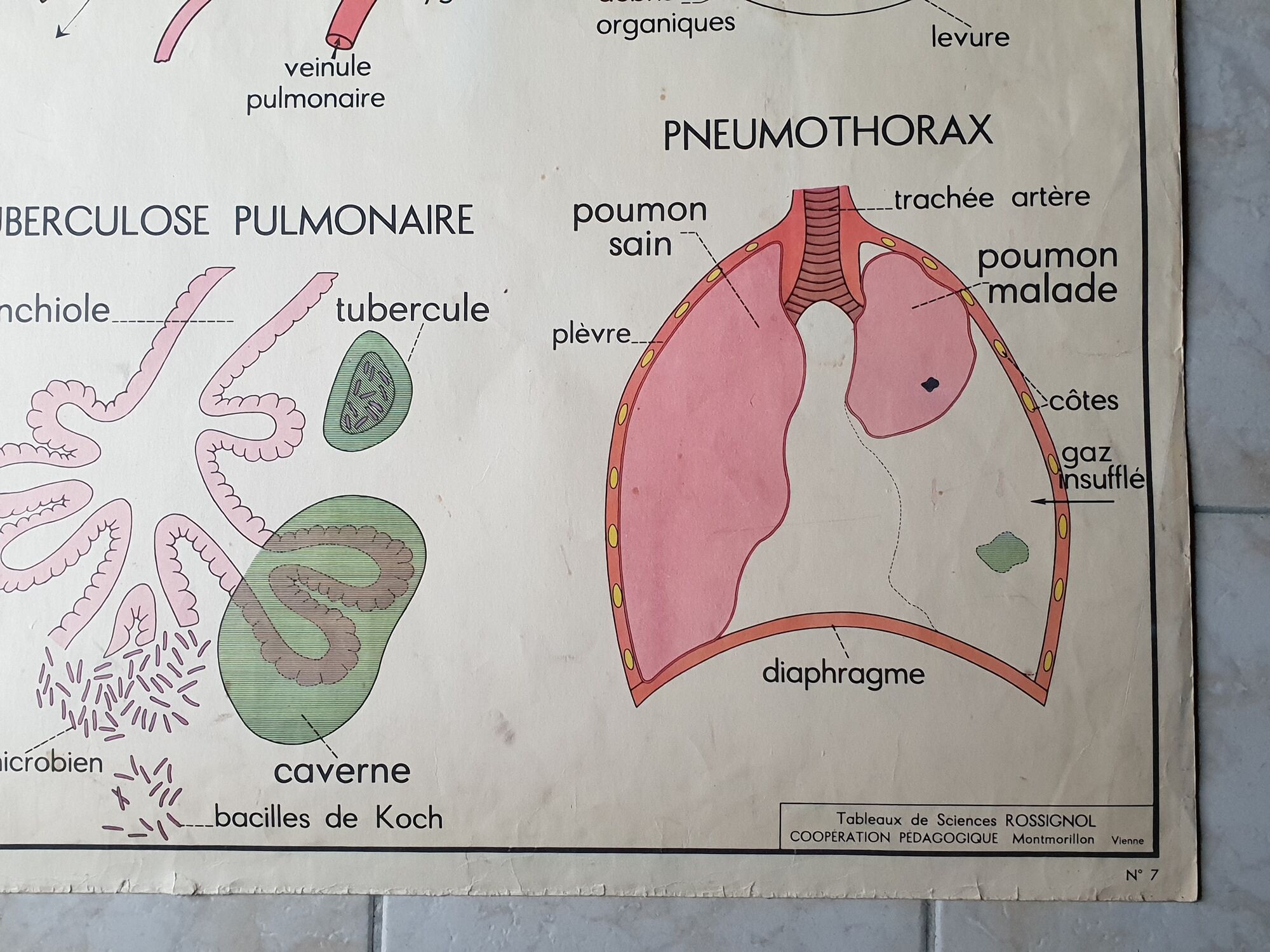 School poster Rossignol