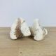 3 old white corals, coral