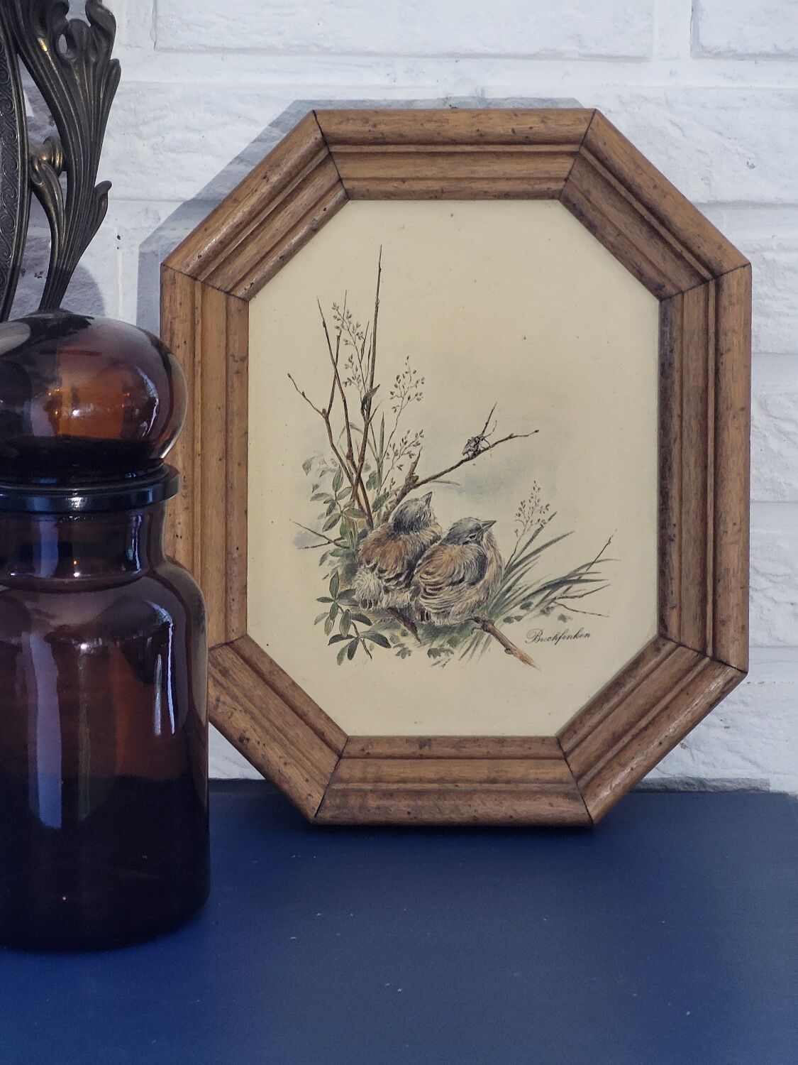 Illustration oiseaux vintage sur panneau