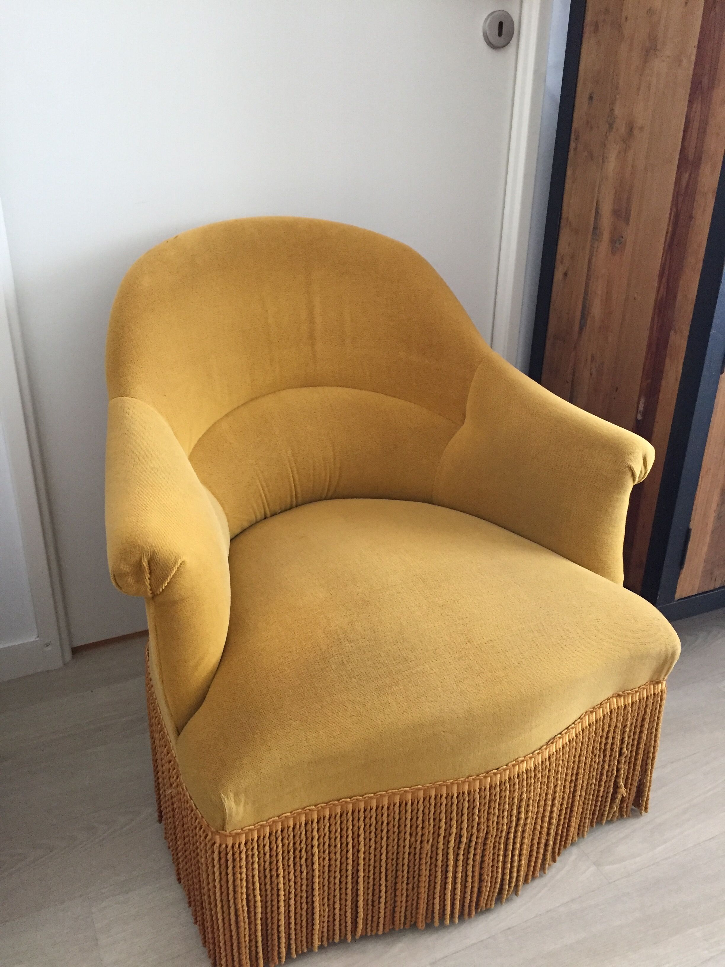 Toad fringed velvet armhair