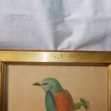 Bird frame