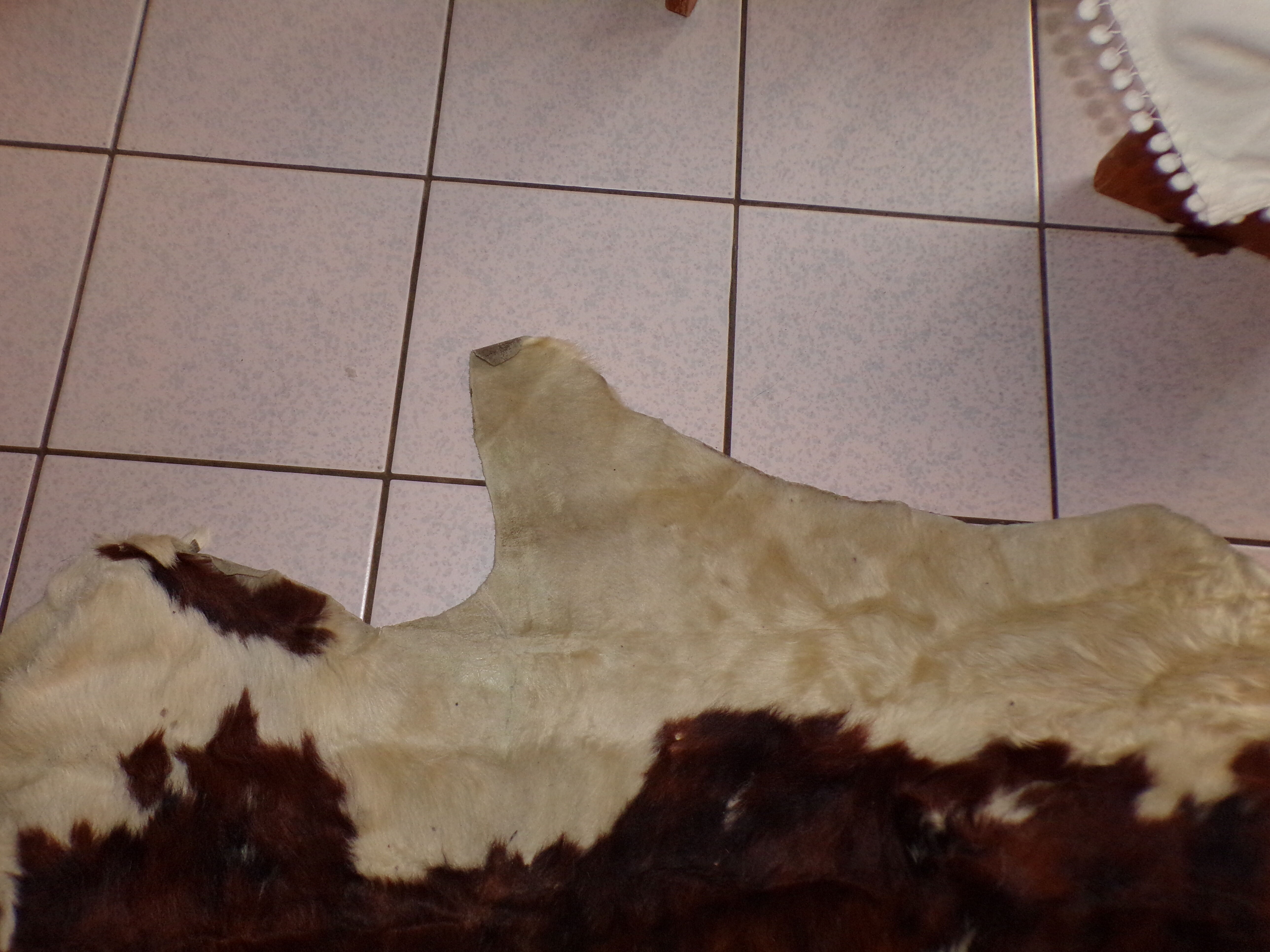 Cowhide 240x190cm