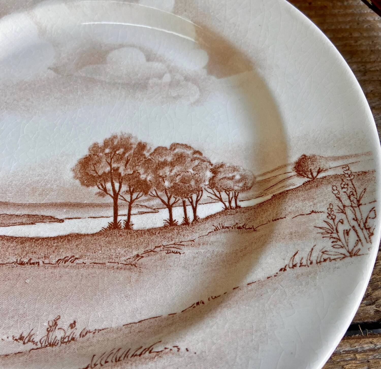 Vintage landscape plate