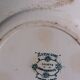 Saint-Amand ironstone dinner plate with anemone green decoration