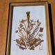 Vintage frame dried flowers