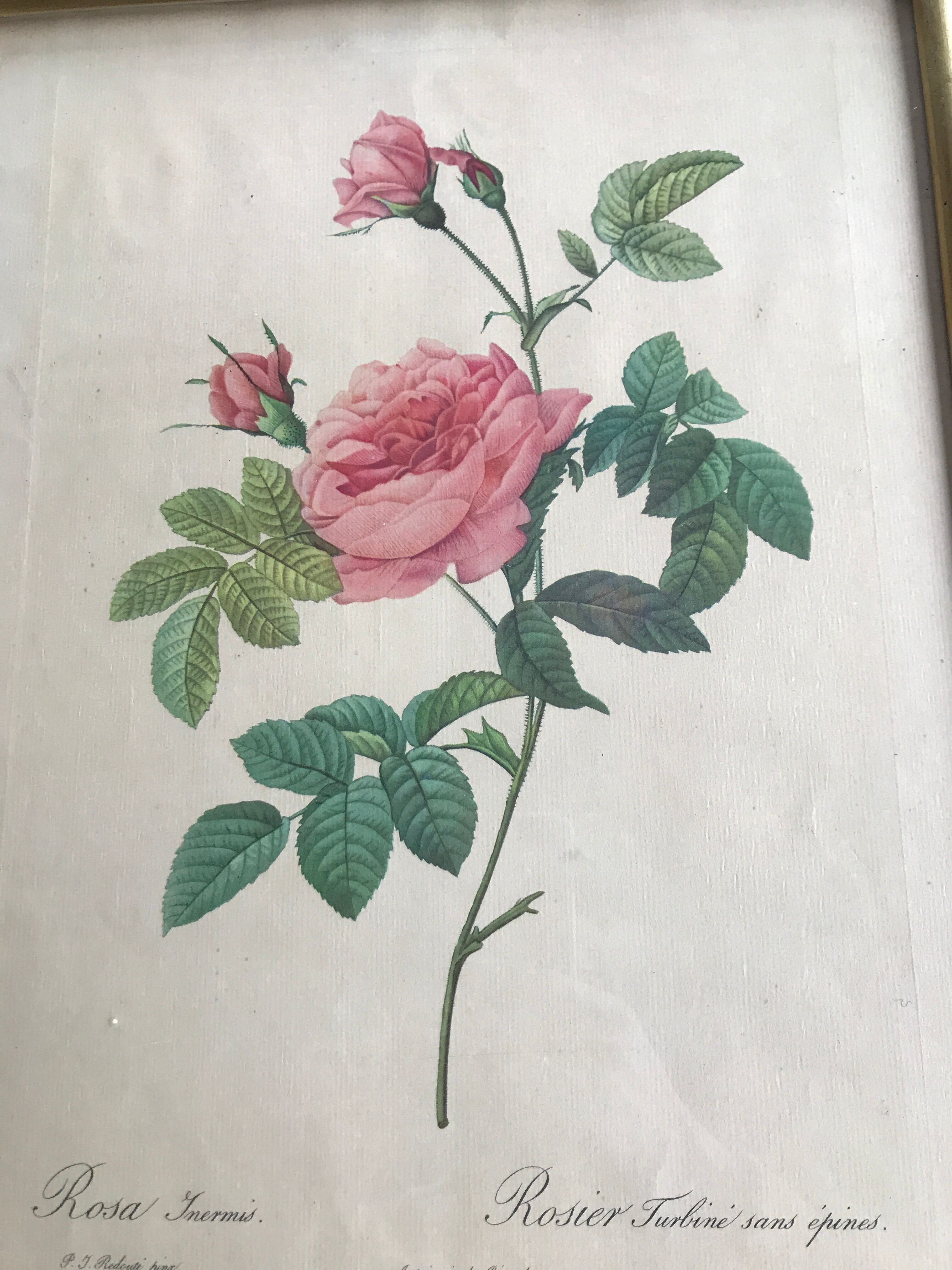 Dreaded Frame and Lithography