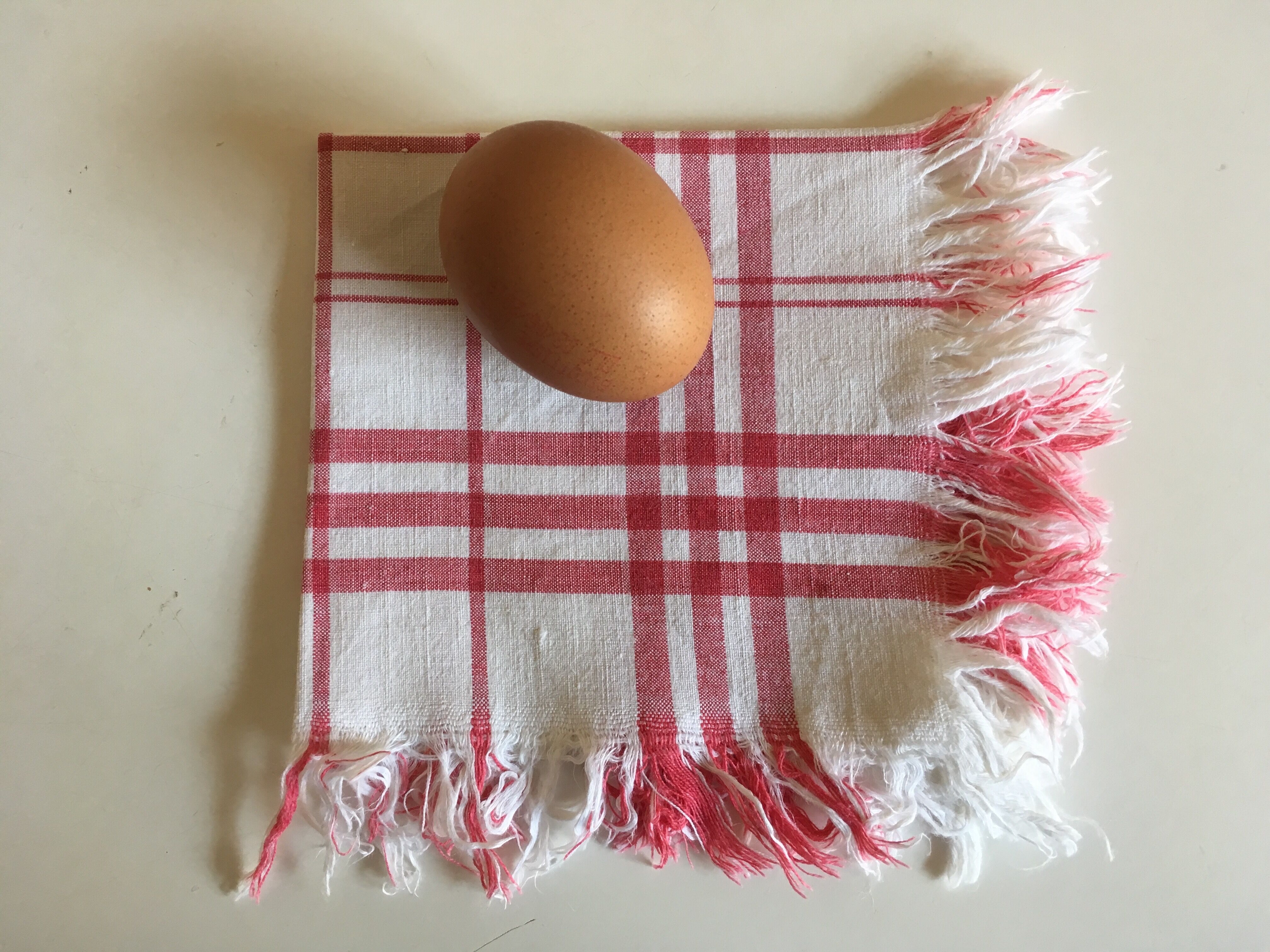 Series of 10 napkins frat striped dishcloths 50